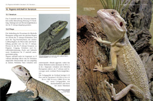 bartagamen_die_gattung_pogona_9783866590946_4_264434821