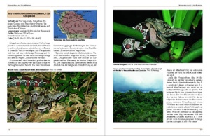 boa_constrictor_-_ratgeber_zur_haltung_im_terrarium_3