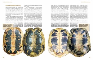 das_schildkroetenjahr_2