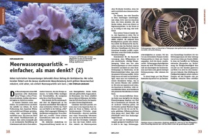 Tipps zum Einstieg in die Meereasseraquaristik - Teil 2