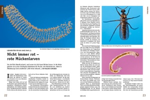 datz_1-2018_-_muckenlarven_als_lebendfutter_1