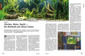 datz_1-2018_-_muckenlarven_als_lebendfutter_3