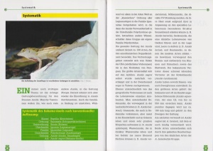 der_bahama-anolis_1_1607947213