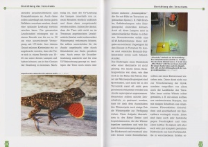der_bahama-anolis_3_345097895