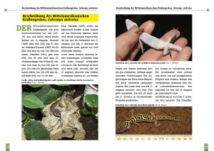 der_mexikanische_und_mittelamerikanische_krallengecko_2