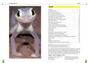der_palmatogecko_3