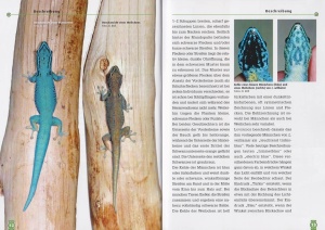 der_tuerkisblaue_zwergtaggecko_1_257285603