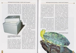 die_chinesische_streifenschildkroete_2