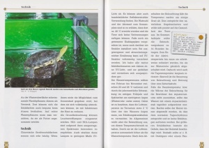 die_chinesische_streifenschildkroete_3