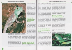 die_gruene_wasseragame_2