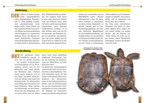 die_iberische_landschildkroete_1