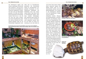 die_iberische_landschildkroete_2