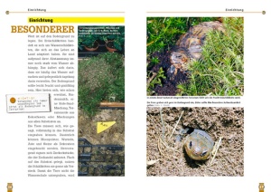 die_pracht-erdschildkrote_2_1981576858