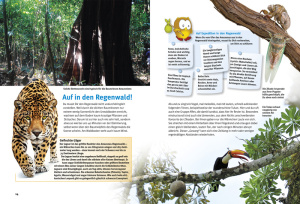 entdecke_den_amazonas-regenwald_1