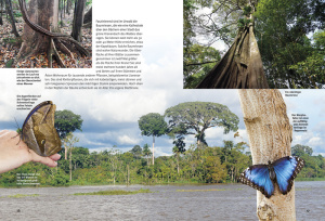 entdecke_den_amazonas-regenwald_2