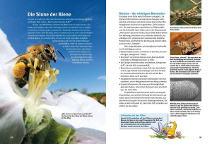 entdecke_die_bienen_9783866594746_innenseiten_36-37_1180985338