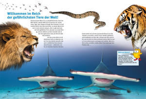 entdecke_die_gefaehrlichsten_tiere_1