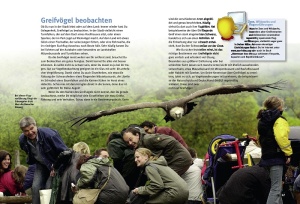 entdecke_die_greifvoegel_-_ein_sachbuch_fur_kinder_3