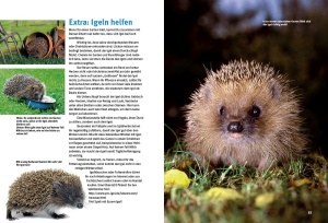 entdecke_die_igel_3