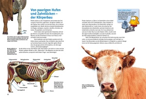 entdecke_die_kuehe_-_ein_kinderbuch_aus_dem_natur_und_tier_-_verlag_1