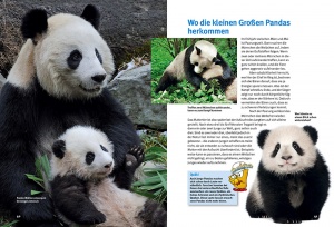 entdecke_die_pandas_9783866594098_seiten_40-41