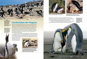 entdecke_die_pinguine_9783866592513_innenansicht_22-23