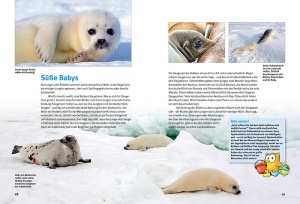 entdecke_die_robben_-_ein_kindersachbuch_aus_dem_natur_und_tier_-_verlag_2