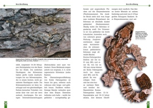 faltengecko_1