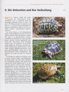 griechische_landschildkroeten_9783937285443_seite_19