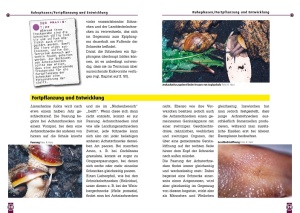 haltung_der_afrikanischen_riesenschnecke_im_terrarium_-_art_fur_art_2
