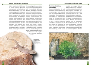 hausgeckos_3