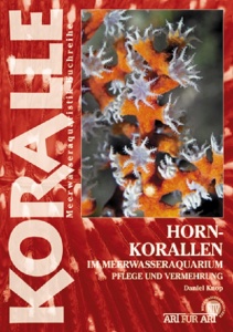 hornkorallen_im_meerwasseraquarium