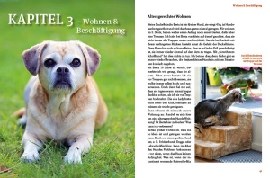 hunde-rentner_natur_und_tier_verlag_40_41