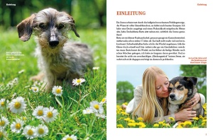 hunde-rentner_natur_und_tier_verlag_6_7