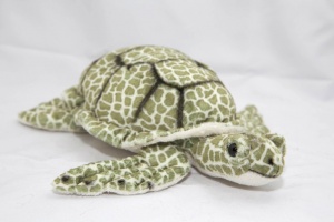 Schildkröte - Seiten- und Frontansicht