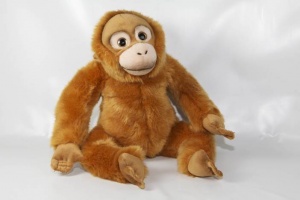 Orang Utan - Frontansicht