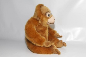 Orang Utan - Seitenansicht