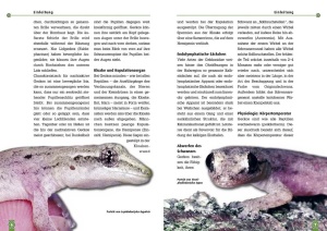 jungferngeckos_1_569199787