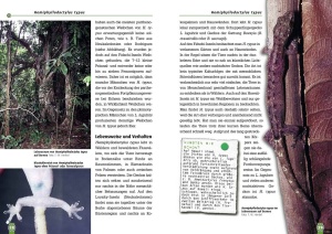 jungferngeckos_3_194554016