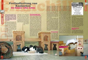 kaninchenzimmer_seite_16