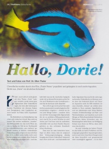 koralle_102_-_doktorfische_im_aquarium_halten_und_vermehren_1