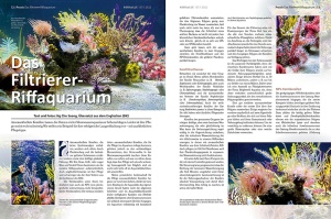 koralle_135_-_aquascaping_durch_riffaufbauten_fur_korallenriffaquarien_3