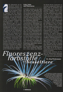 koralle_48_2