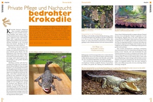 krokodile_seite_66