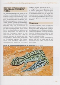 leopardgeckos_9783866590892_seite_39