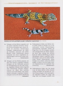 leopardgeckos_9783866590892_seite_9