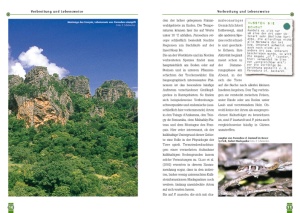 madagassische_grosskopfgeckos_1