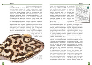 madagassische_grosskopfgeckos_3