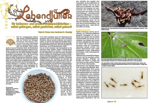 marginata_54_-_ernaehrung_von_schlammschildkroeten_-_das_richtige_futter_fur_kinosternidae_2