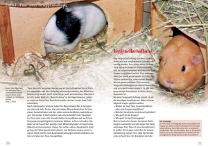 meerschweinchen_978-3-86659-111-0_seiten_20-21_780049710